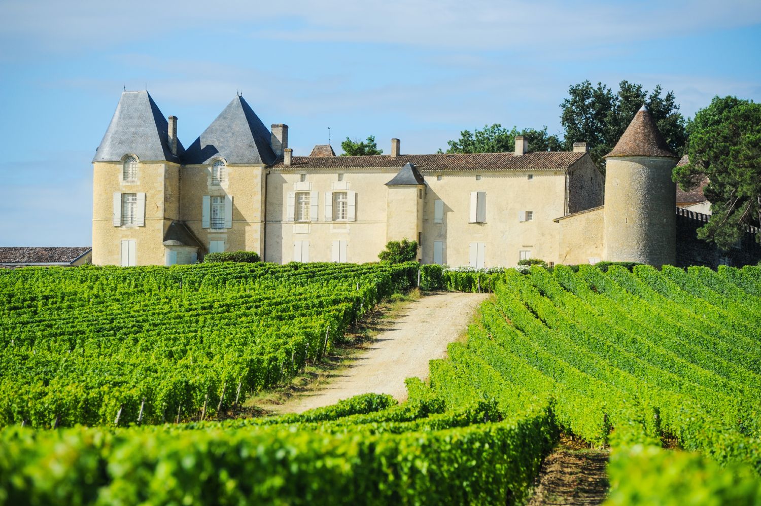 Bordeaux vignoble et tradition. le Bassin d