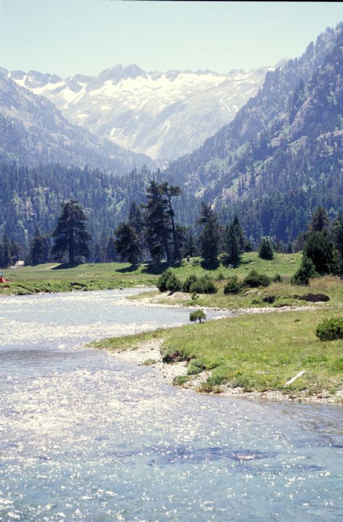 Vallée du Marcadau, près du Pont d'Espagne et de Cauterets