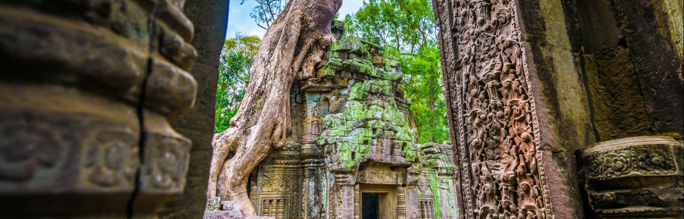 Temple Ta Prohm à Angkor