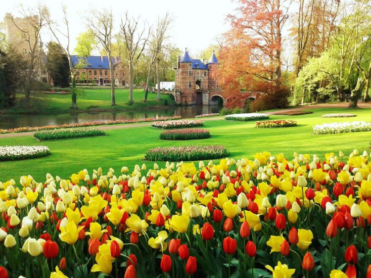 Floralia Bruxelles au Château de Grand-Bigard