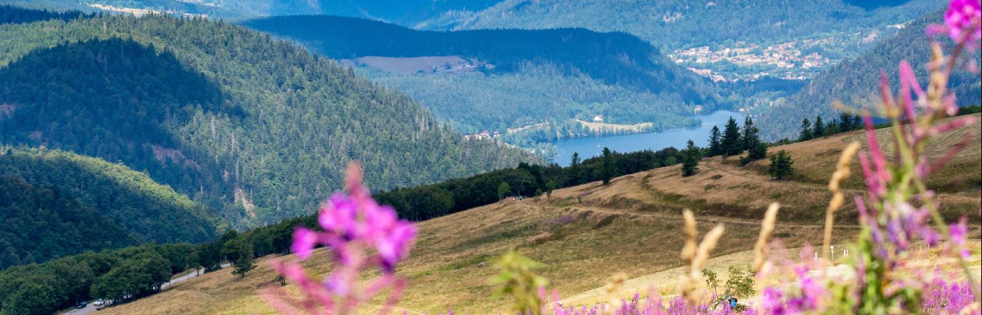 Les Vosges depuis le sommet du Hohneck