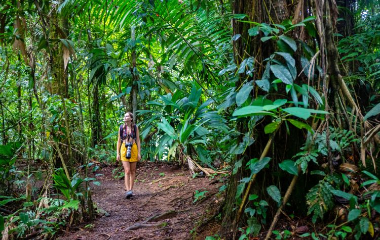 Forêt pluviale du parc national braulio carrillo