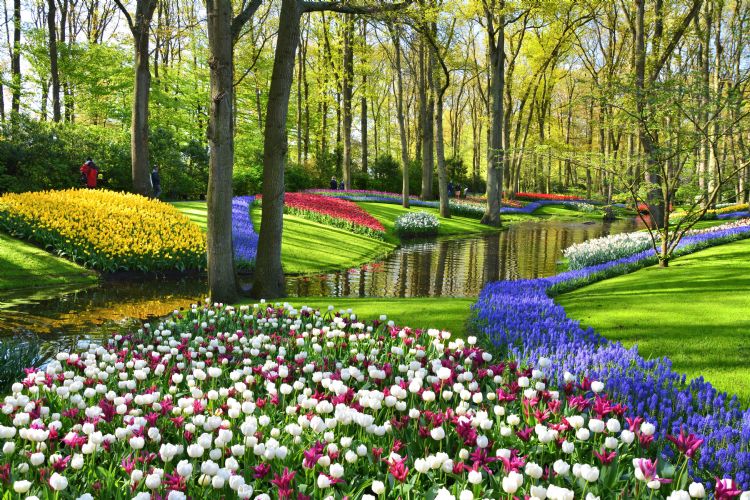 Keukenhof