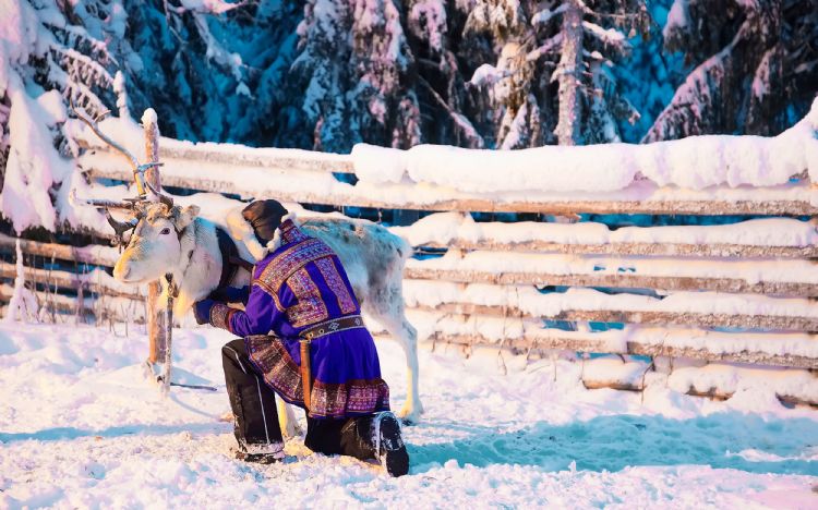 Sami en costume traditionnel dans une ferme de rennes